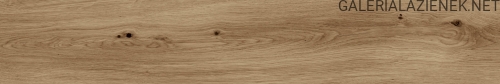 20120ECDYNAMIC4K6SUPERSLIMhayaA-copia_02.jpg