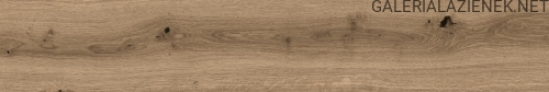 20120ECDYNAMIC5K6SUPERSLIMnaturalAcmyk_01.jpg