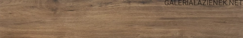 01.webp