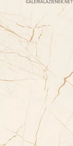 Fancy_white_połysk_30x60_T2.webp