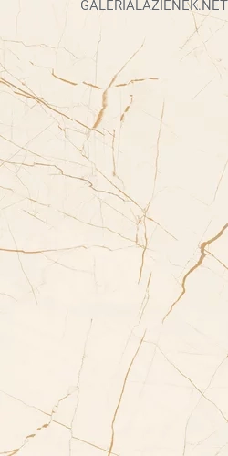 Fancy_white_połysk_30x60_T2.webp