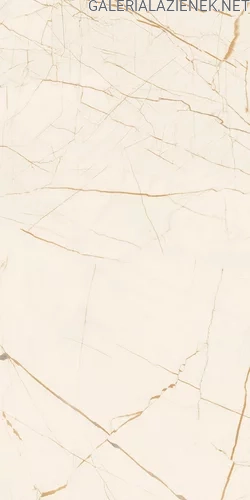 Fancy_white_połysk_30x60_T3.webp