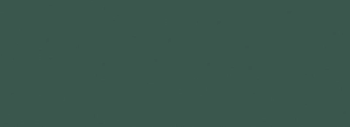 PS-Fashion-green.jpg