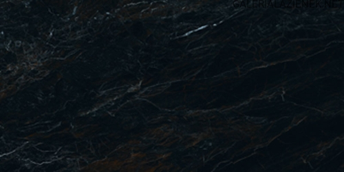 PP-REGAL-STONE-POL-1198x598_1.jpg