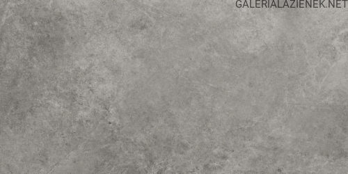 tacoma-grey-60x120-1-e1667213237575.jpg