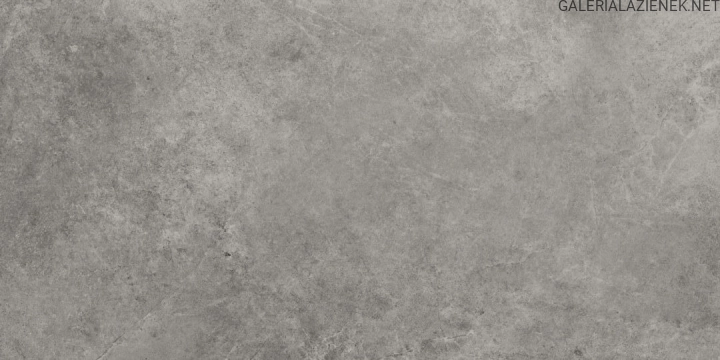 tacoma-grey-60x120-1-e1667213237575.jpg