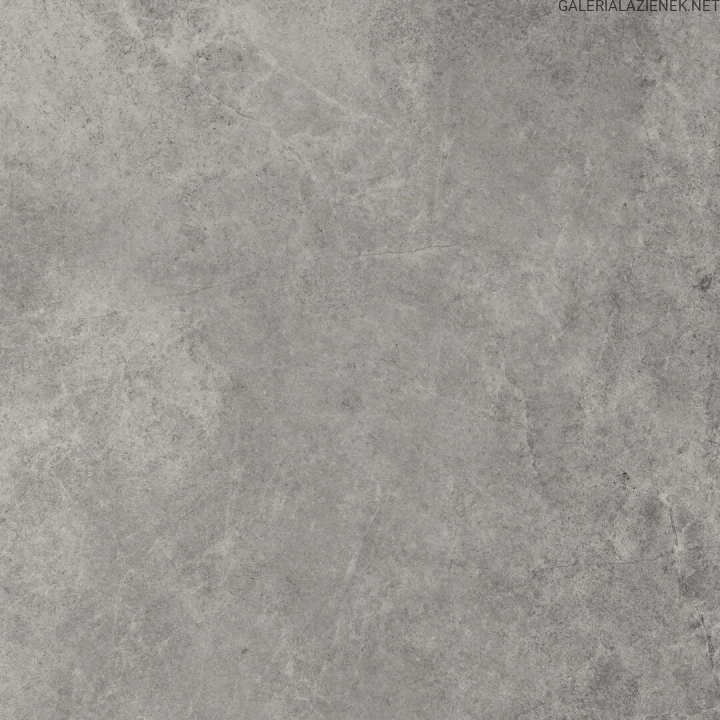 tacoma-grey-60x60-1.jpg