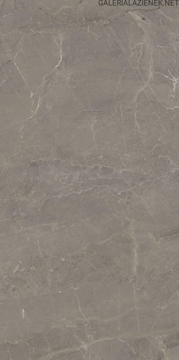 wonderstone_light_grey_598x1198_t1.jpg