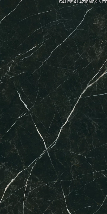 Desire_black_poler_60x120_T10.webp