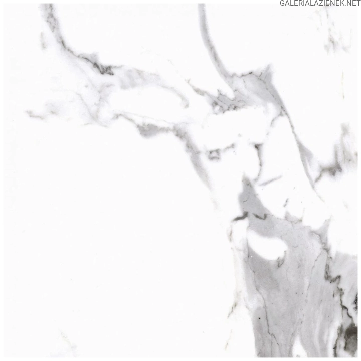 gres-podlogowy-marmuropodobny-cerrad-calacatta-white-poler-rektyfikowany-59-7x59-7-10213555.webp