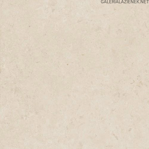 a1.webp