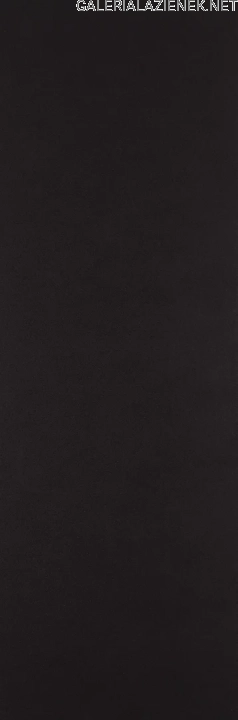 Fashion Spirit Black 398x1198.webp