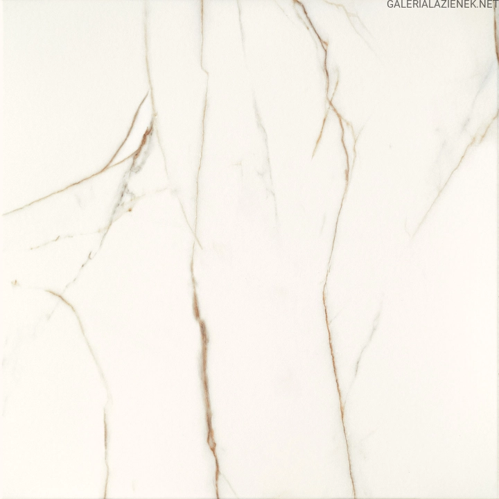 PP-Floris-White.jpg
