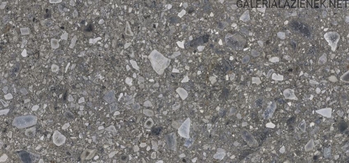 ceppo_nuovo_graphite_60x120_3_rgb_083617361055.jpg