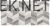 blyszczaca-plytka-dekoracyjna-do-lazienki-i-kuchni-domino-malena-dekor-30-8x60-8-10189549.webp