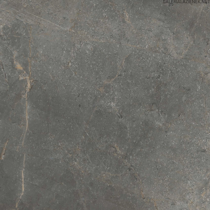 masterstone_graphite_60x60_1.jpg
