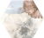 DS-Mild-Garden-hex_5.png