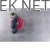 47110-large_default.webp