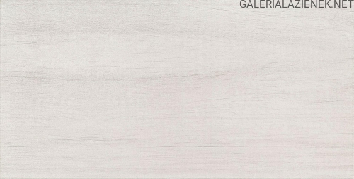 MALENA GREY 30,8X60,8.jpg