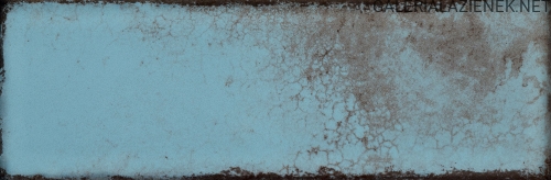 PS-Curio-blue-mix-STR-C_2.jpg