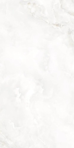 2f229ab1a0ab214b61b6b4a1210d5826