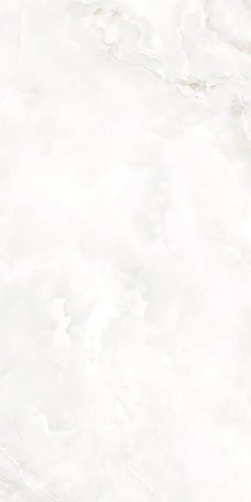 2f229ab1a0ab214b61b6b4a1210d5826