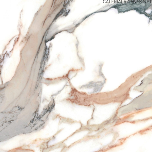 calacatta_gold_60x60_nat-scaled.jpg