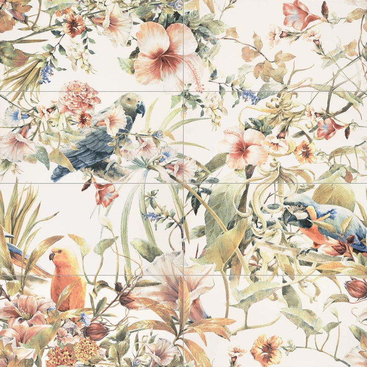 OS-8-elementowy-Modern-Pearl-parrots.jpg