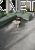 authority_grey_taras_cam2_final.webp