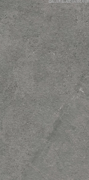 Authority_graphite_struktura_mat_595x1195_T2.webp