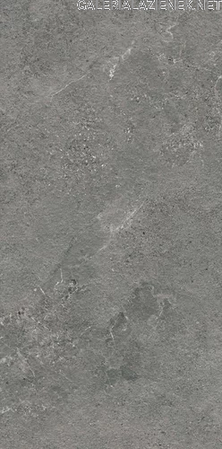 Authority_graphite_struktura_mat_595x1195_T4.webp