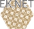 SHINY_LINES_Gold_heksagon_inserto_D_198x171.webp