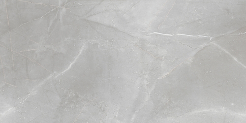PP-Brainstorm-grey-598x1198-F1_iN9xa97.jpg