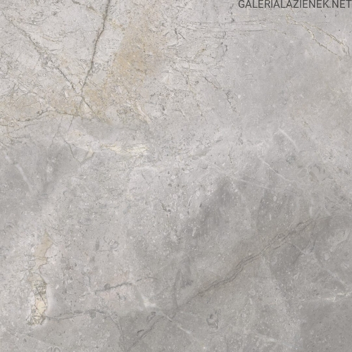masterstone-silver-60x60-7.jpg