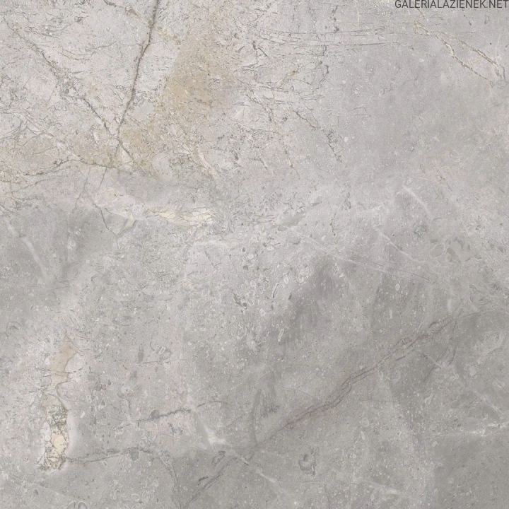 masterstone-silver-60x60-7.jpg