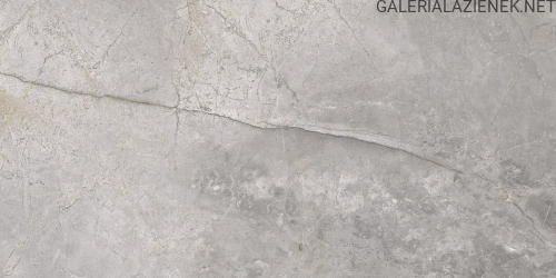 masterstone-silver-60x120-3-rotated (1).jpg