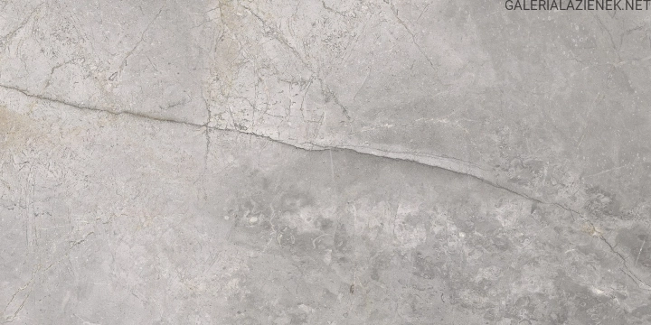 masterstone-silver-60x120-3-rotated (1).jpg