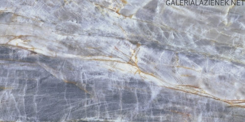 brazilianquartzite-blue-60x120-2-rgb.jpg