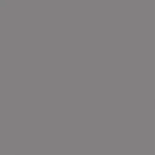 GAMMA COLOURS SZARA POŁYSK 19,8x19,8.webp