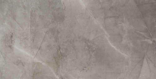 PP-Remos-grey-LAP_1.jpg