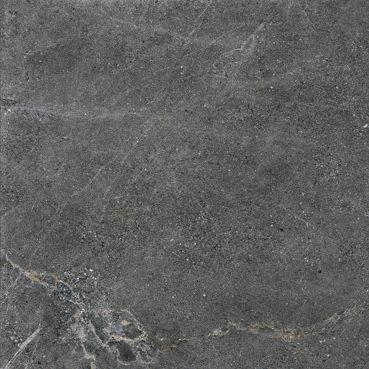 distinct-graphite-60x60-rf-1.jpg