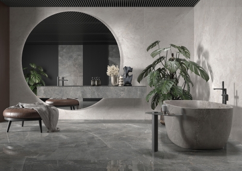 distinct-grey-cam1.jpg