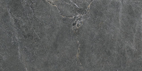 distinct-graphite-60x120-rf-1.jpg