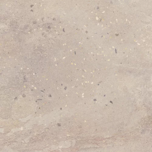 DESERTDUST_beige_598x598_T1.webp