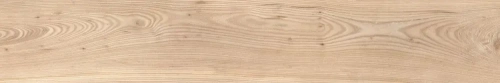 batch_primitive_olmo_20x120_1.webp