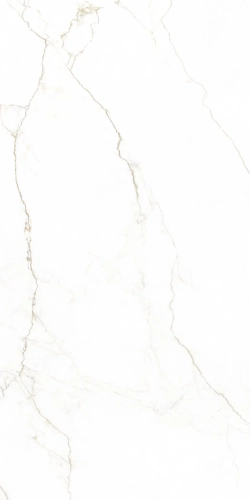 BIANERO-WHITE-60X120-01.webp